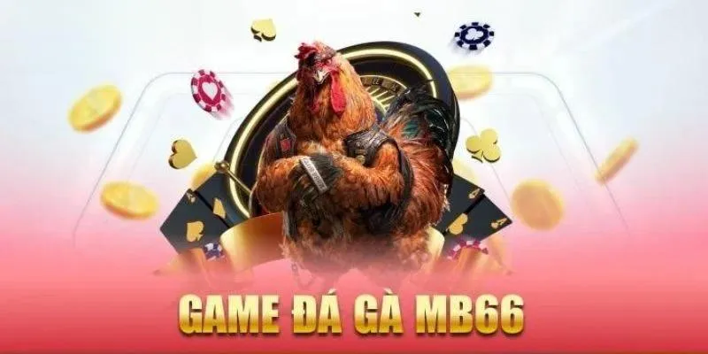 Đá Gà MB66 – Sân Chơi Dành Cho Những Chiến Binh Thực Thụ